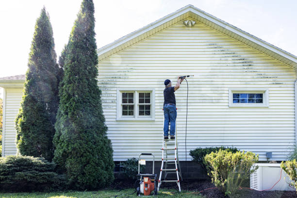 Best Sign and Awning Cleaning  in Taylorsville, MS